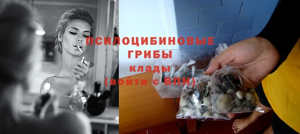эйфоретик Алексеевка