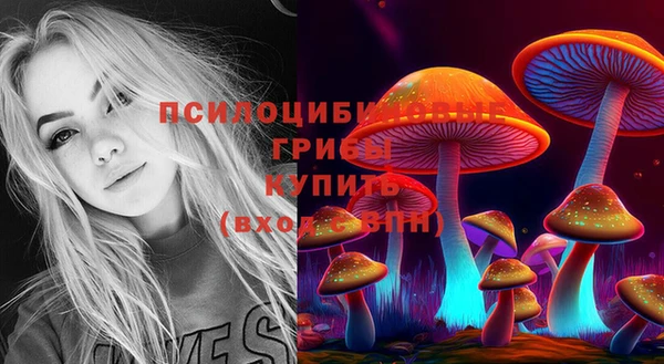 эйфоретик Алексеевка