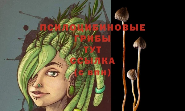 винт Алзамай